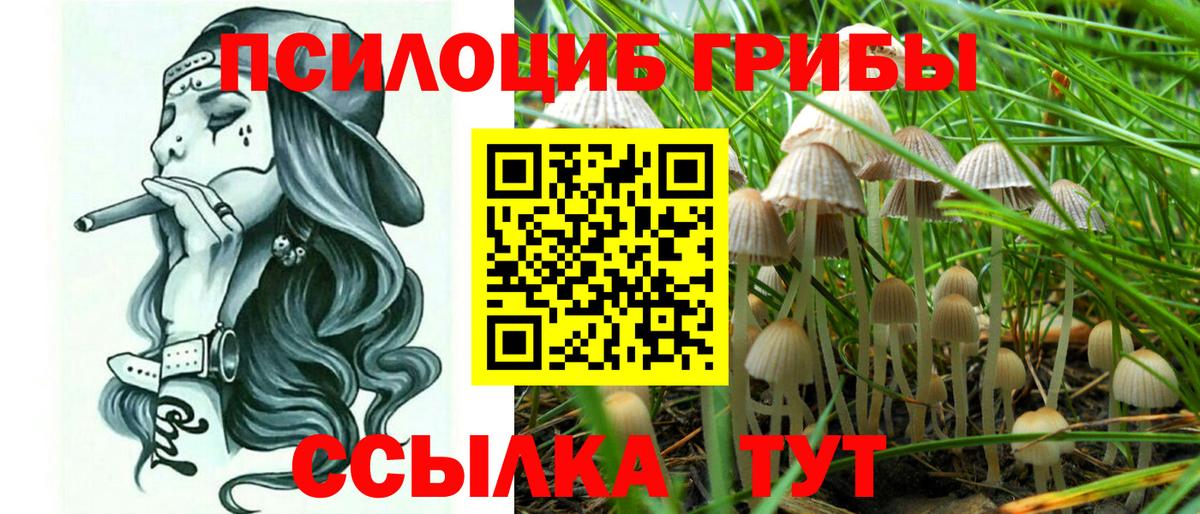 Галлюциногенные грибы Magic Shrooms  Вход с VPN  Ногинск 
