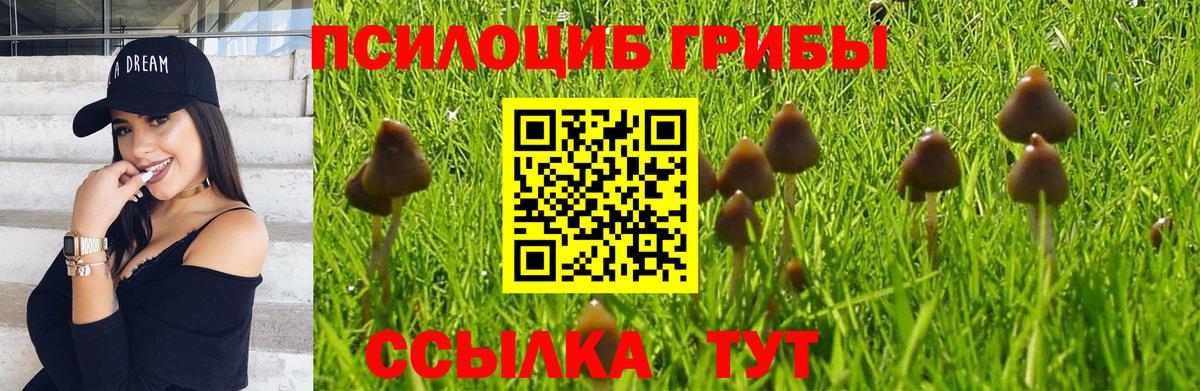 Псилоцибиновые грибы Magic Shrooms Ногинск